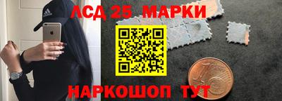 прущие грибы Будённовск
