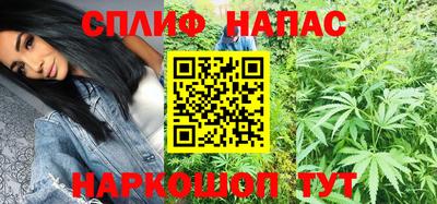 прущие грибы Будённовск